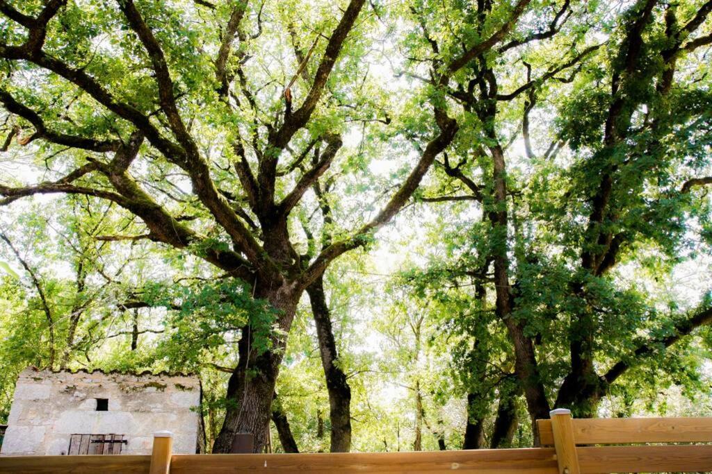 La Taniere Des Druides Villa Luzech Ngoại thất bức ảnh